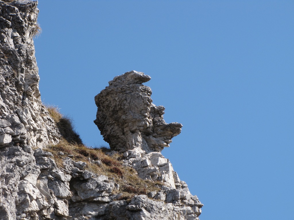 Le fantastiche creature dei boschi